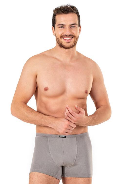 Erkek Pamuklu Modal Boxer | Gri K11897