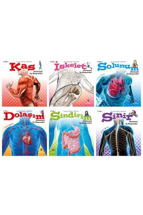 Tübitak Yayınları Tübitak Vücudumuzdaki Sistemler 6 Yaş 6 Kitap Takım