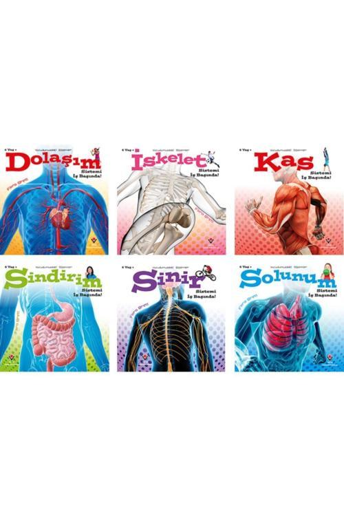 Tübitak Yayınları Vücudumuzdaki Sistemler Set (Dolaşım-İskelet-Kas-Sindirim-Sinir-Solunum) 6 Kştap