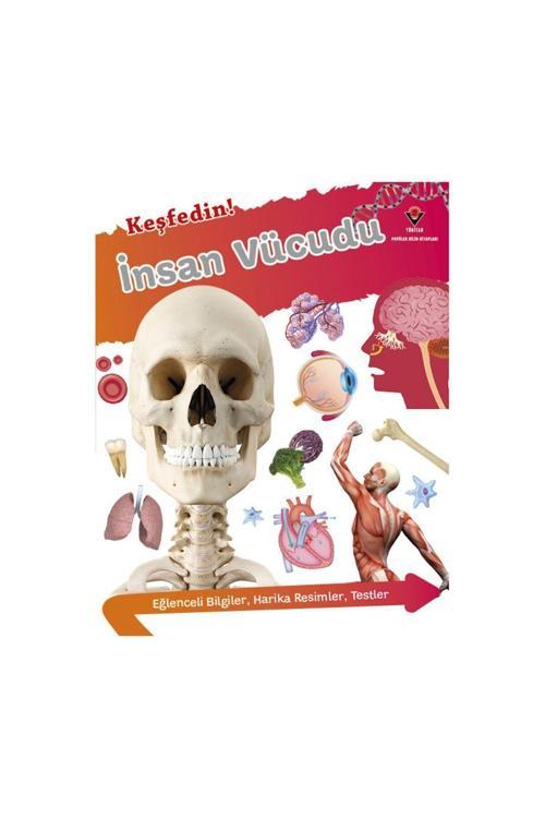 Tübitak Yayınları Keşfedin! İnsan Vücüdu 10+ Yaş