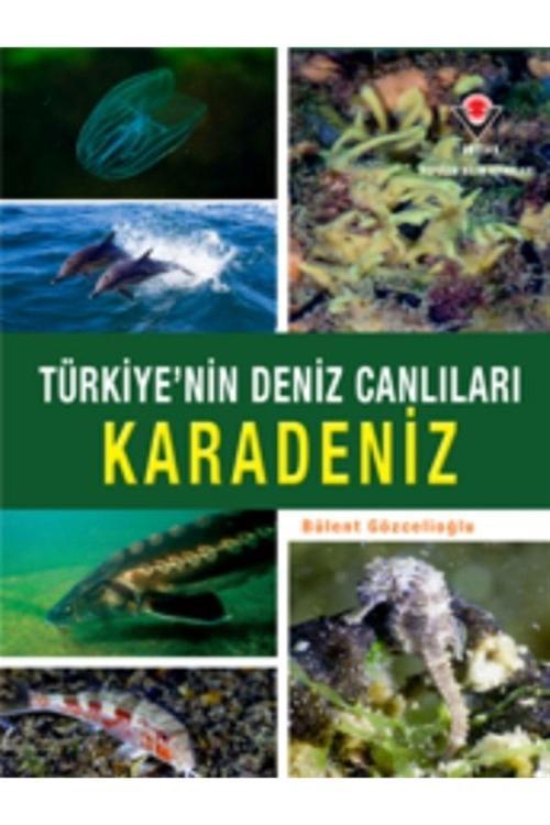 Tübitak Yayınları Karadeniz - Türkiye'Nin Deniz Canlıları - Bülent Gözcelioğlu 9786053123811