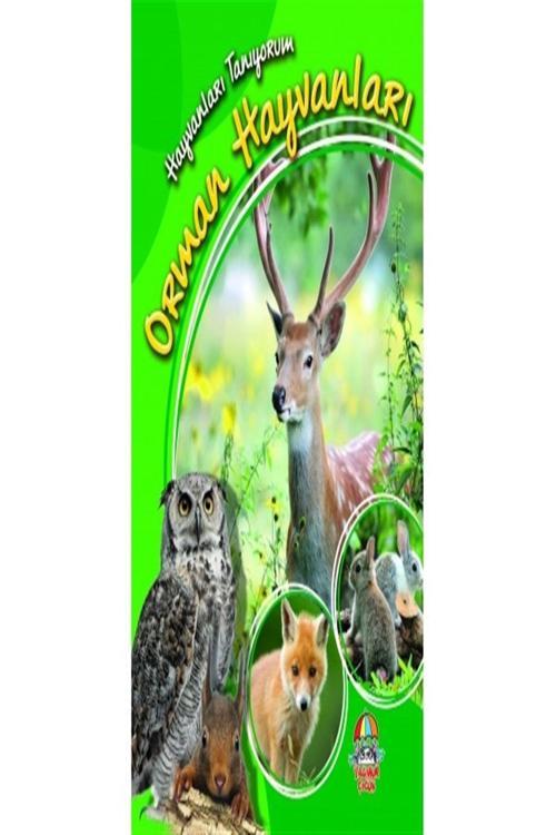 Yağmur Çocuk Orman Hayvanları - Hayvanları Tanıyorum - Kolektif