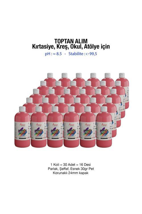 Pembe Akrilik Boya Kırtasiye, Kreş, Okul, Atölye İçin 500Gr 30'Lu Koli