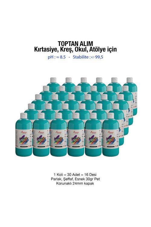 Turkuaz Akrilik Boya Kırtasiye, Kreş, Okul, Atölye İçin 500Gr 30'Lu Koli