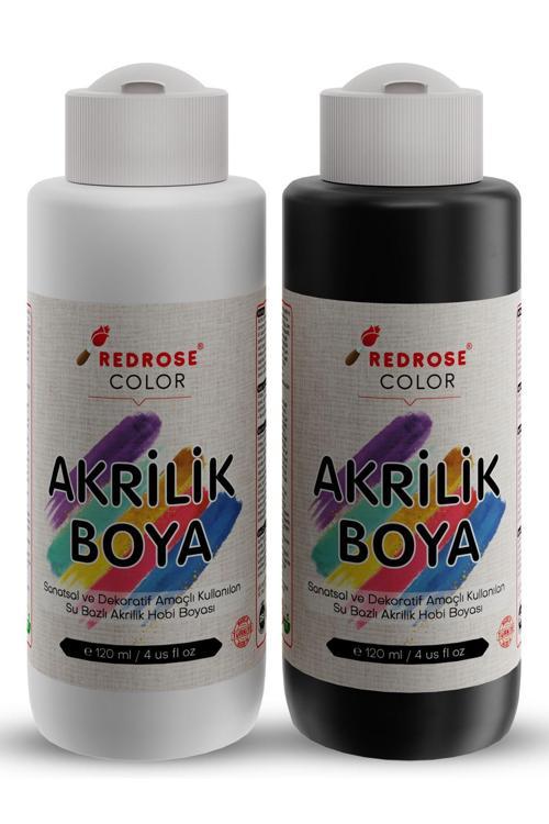 Beyaz-Siyah Akrilik Boya Seti, 2'Li Set 2X120Ml Dekoratif Hobi Amaçlı Sanatsal Canlı Renkler