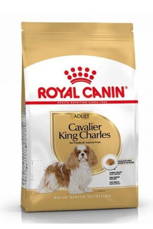 Cavalier King Charles Adult Yetişkin Köpek Maması 1,5 Kg