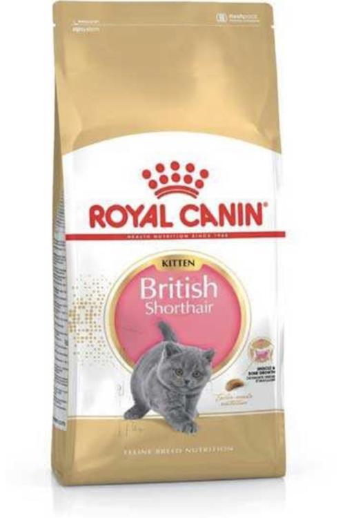Royal Canın British Shorthair Yavru Kedi Maması 2kg