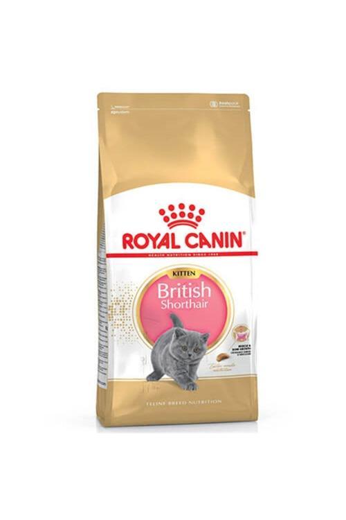Yavru British Shorthair Kedi Maması 2 Kg