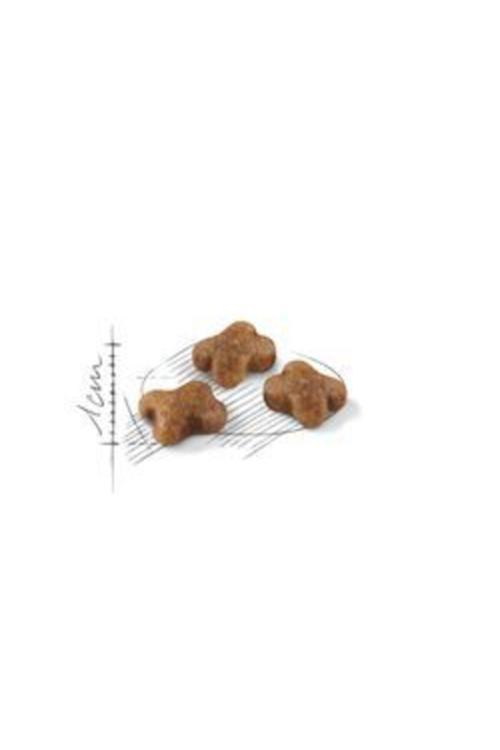 Royal Canın Kıtten Yavru Kedi Maması 2kg