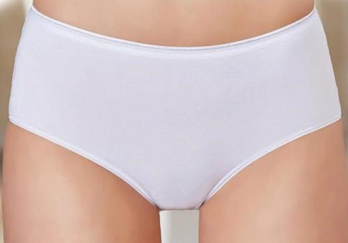 11555 BAYAN BAMBU YÜKSEL BEL BATO KÜLOT 12 ADET