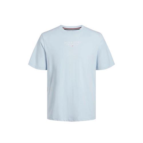 Erkek T-Shirt Jprbluarchıe Ss Tee Crew Neck Noos 12217167-Skyway