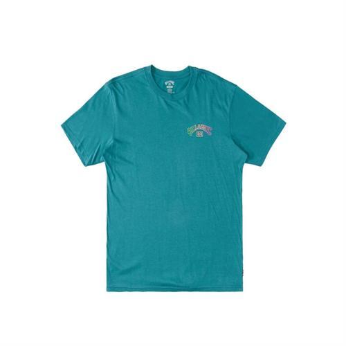 Arch Fıll Ss Çocuk T-Shirt ABBZT00355-TEA