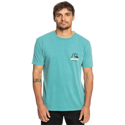 Erkek T-Shirt Artsınpalm M Tees EQYZT07249-BLZ0