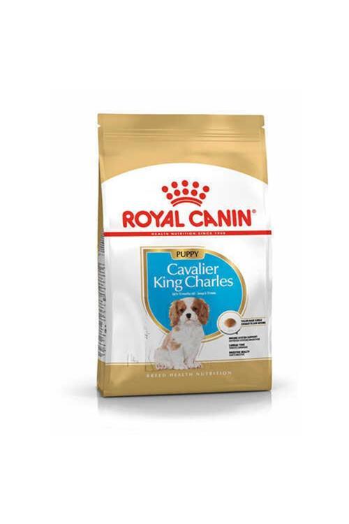 Cavalier King Charles Junior Yavru Köpek Maması 1,5 Kg