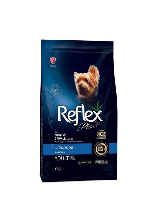 Plus Somonlu Mini Ve Küçük Irk Yetişkin Köpek Maması 8 Kg