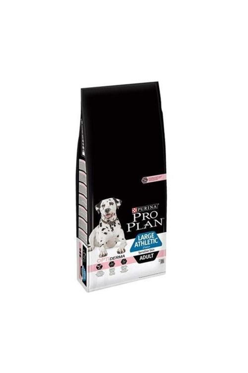 Large Athletic Büyük Irk Somon Yetişkin Köpek Maması 14 Kg