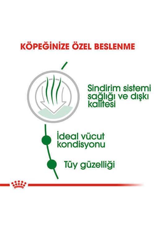 Mini Indoor Adult Köpek Maması 1,5 kg