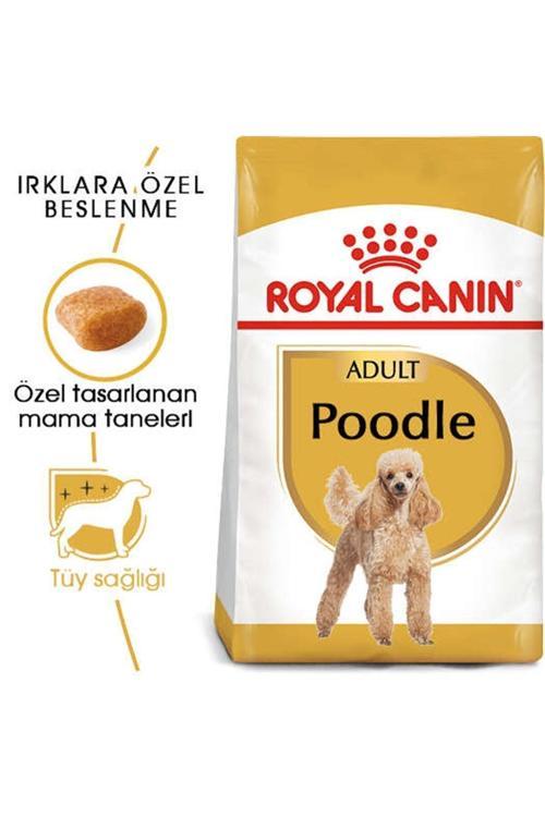 Poodle Adult Yetişkin Köpek Maması 3 kg