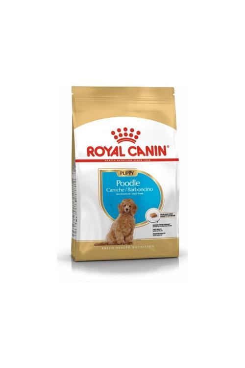 Puppy Poodle Küçük Irk Yavru Köpek Maması 3 kg