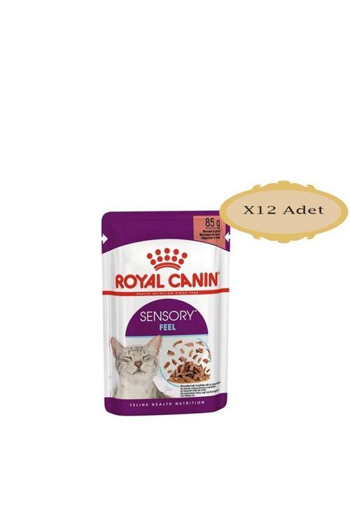 Sensory Feel Gravy Kedi Pounch 85Gr X 12 ADET