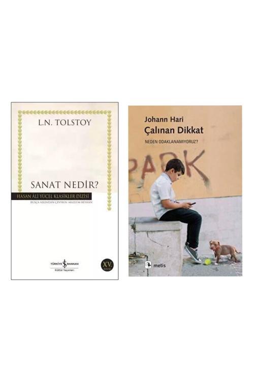 Sanat Nedir ? - Çalınan Dikkat - Neden Odaklanamıyoruz? - Johann Hari