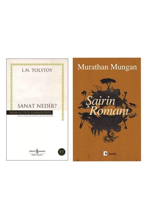 Sanat Nedir ? - Şairin Romanı - Murathan Mungan