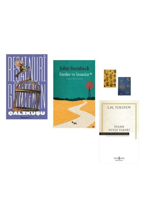 Çalıkuşu - Fareler Ve Insanlar - Insan Neyle Yaşar- ( 2 Defter Hediye)