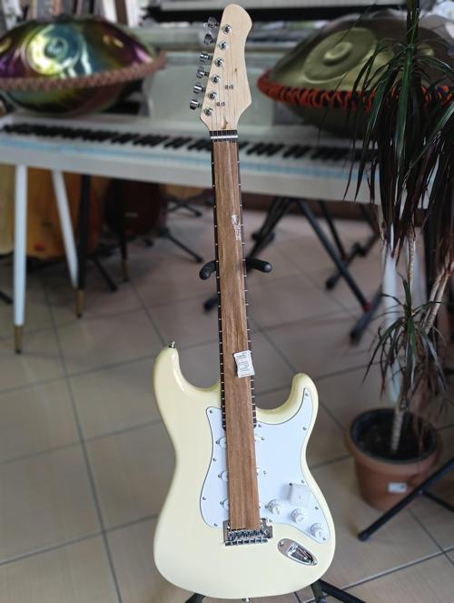 Elektro gitar (kılıf ve pena hediye)