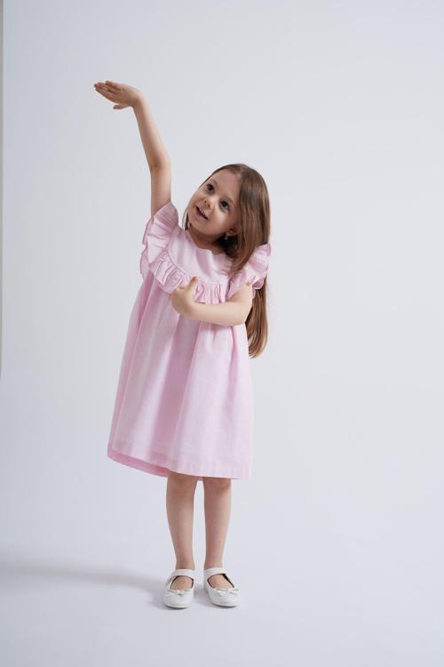 Robadan Fırfırlı Flamlı Kız Çocuk Elbise Pembe