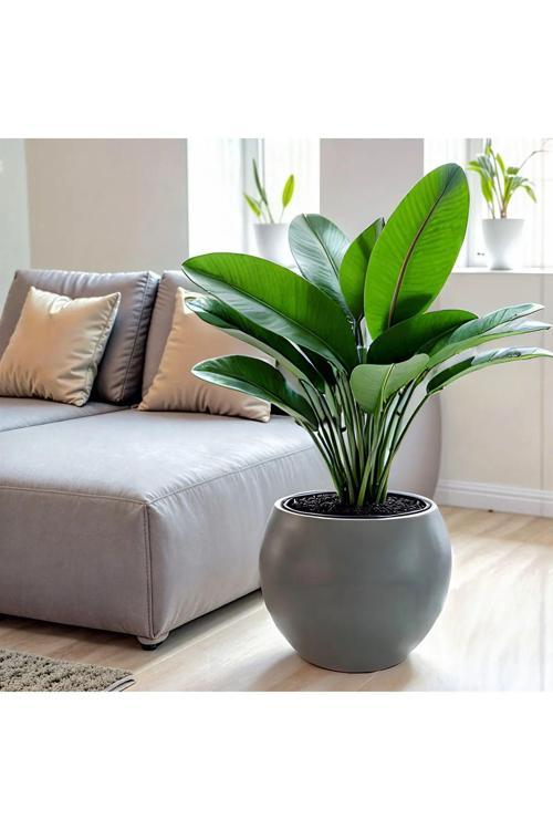 Küre Saksı Modern Dekoratif Plastik Saksı 27 Litre (İçsiz)