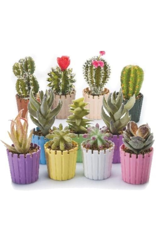 Poliwork Akasya Kaktüs Saksısı Mini Saksı 1 Adet 6 Cm Vip-29918