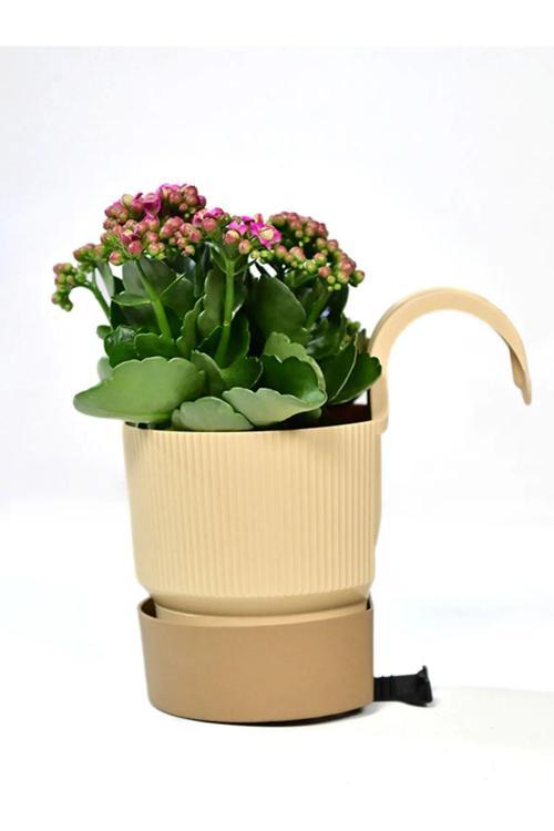 2 Litre Iksora Tek Askılı Saksı Dekoratif Balkon Saksısı Tabaklı Mat Plastik Saksı