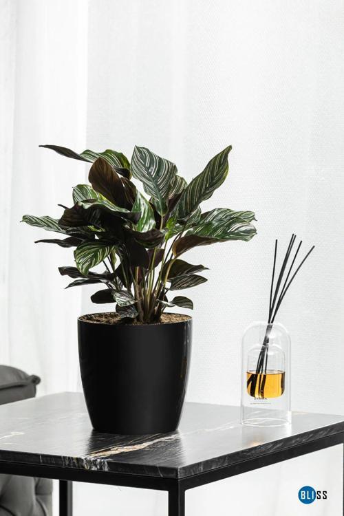 Yakut Çiçek Saksısı 4,4 Litre Siyah