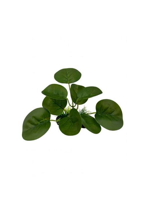 4000028 İpek Bitki 15 Cm