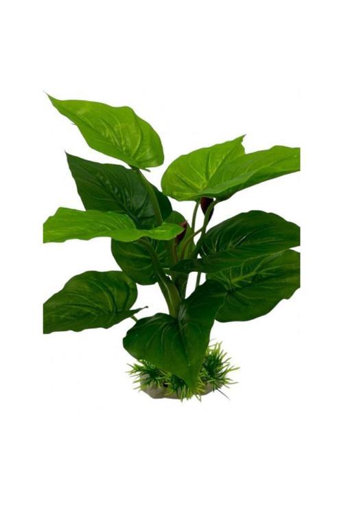 4000039 İpek Bitki 30 Cm