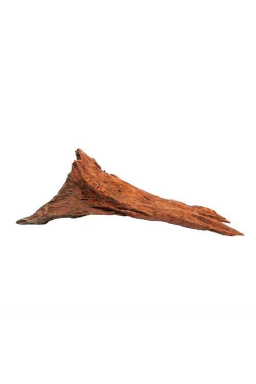 Mango Kökü (Xs) 10-15 Cm