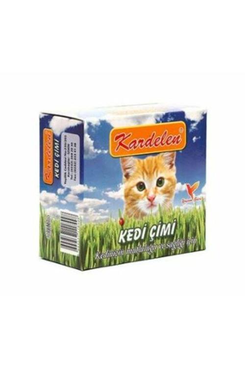 Kedi Çimi