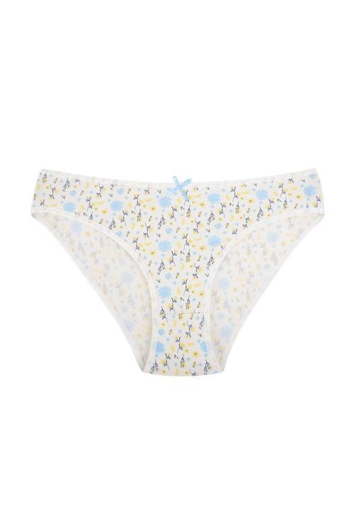 Pamuklu Esnek Desenli Slip Bikini Külot | V2 26800