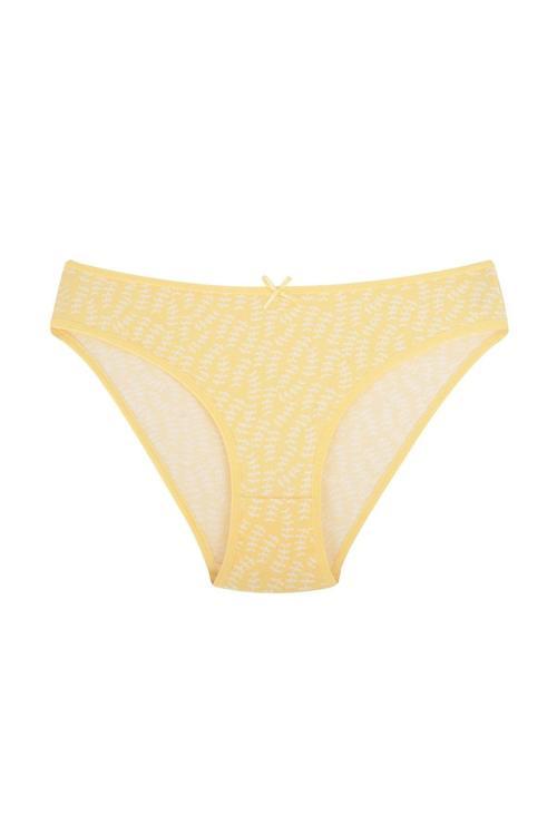 Pamuklu Esnek Desenli Slip Bikini Külot | V4 26800