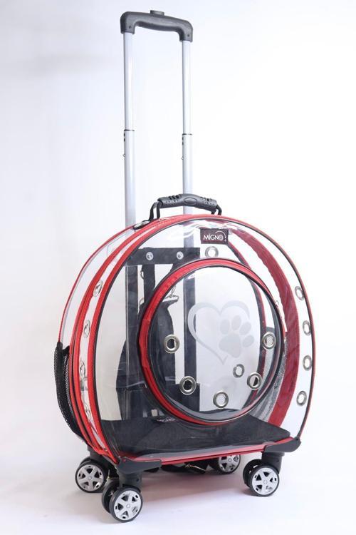 Kırmızı Şeffaf Kedi Köpek Taşıma Çantası Çekçek Model Küçük Boy