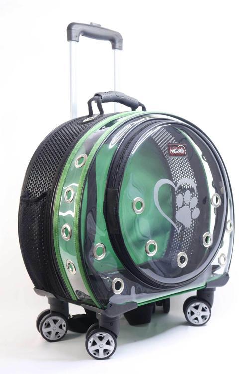 Space Model Kedi Köpek Taşıma Çantası Fileli Şeffaf Yeşil