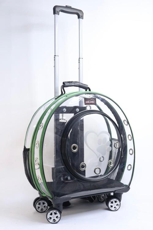 Yeşil Şeffaf Kedi Köpek Taşıma Çantası Küçük