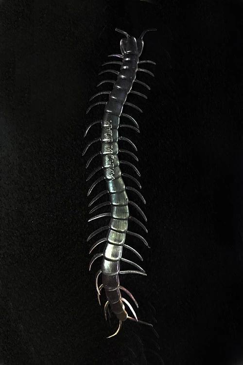 Çocuk Şeffaf Renk Karanlıkta Parlayan Fosforlu Kırkayak 13 cm 1 Adet