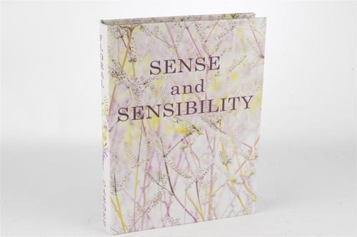 Sensibility  Kitap Kutu 29x22x4cm