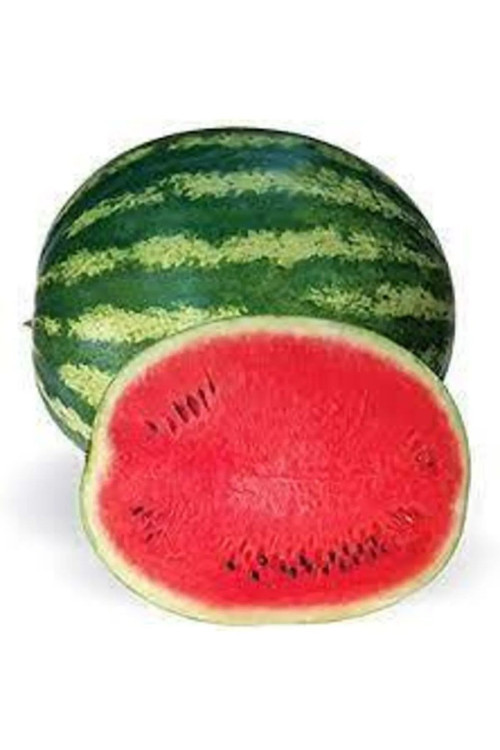 Karpuz Tohumu Crimson Sweet Yerli 800 Adet Tohum