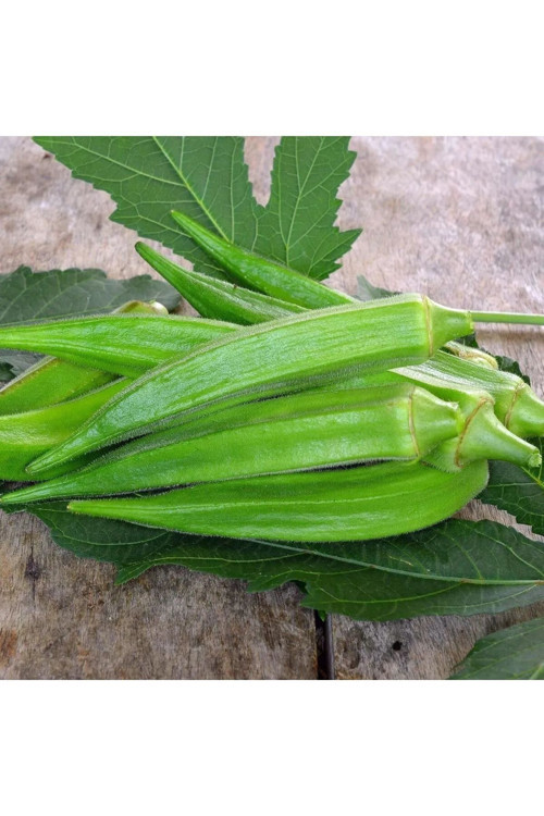 Okra Bamya Tohumu 200 Adet Tohum