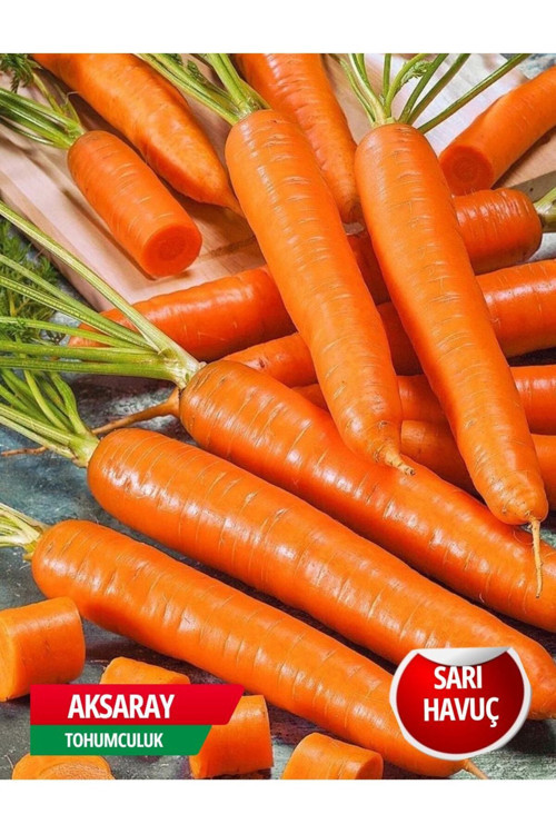 Sarı Havuç Tohumu 300 Adet Tohum