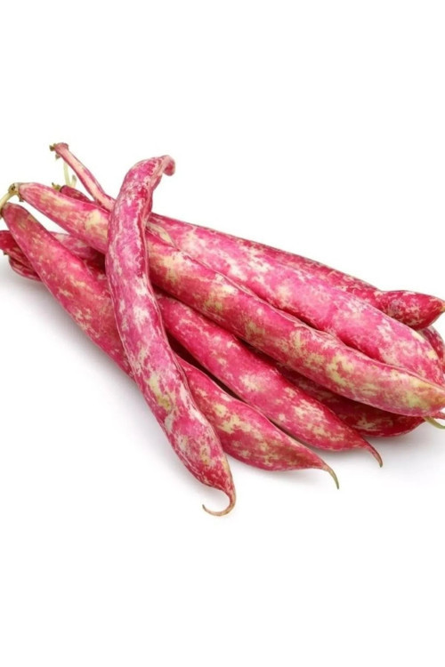 Doğal Barbunya Tohumu 25 Gr Tohum