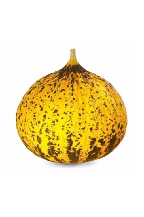 Kırkağaç 637 Kavun Tohumu 10 Gr Tohum