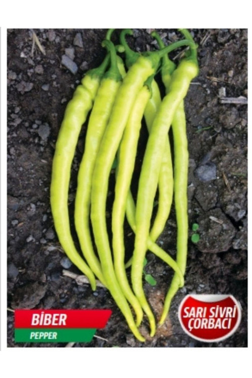 Sarı Sivri Çorbacı Biber Tohumu 50 Adet Tohum
